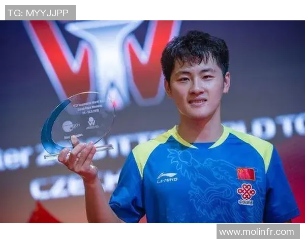 成都乒乓球队转型之路深度解析与未来发展展望 成都乒乓球队转型之路深度解析与未来发展展望